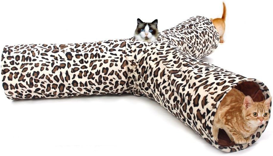 pawz road cat tunnel