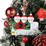 Personalized Survived Family of Ornament 2020