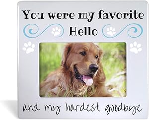 BANBERRY DESIGNS Pet Remembrance Gifts - Pet Memorial Picture Frame - Bereavement Photo Frame for Dog or Cat - You were My Favorite Hello and My Hardest Goodbye