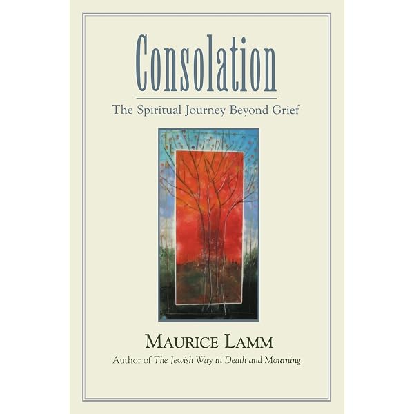 Amazon.com: Consolation: The Spiritual Journey Beyond Grief