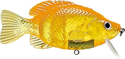 Storm Kickin Slab 04 Goldfish Size 4 Topwater Lures Amazon Canada amazon ca