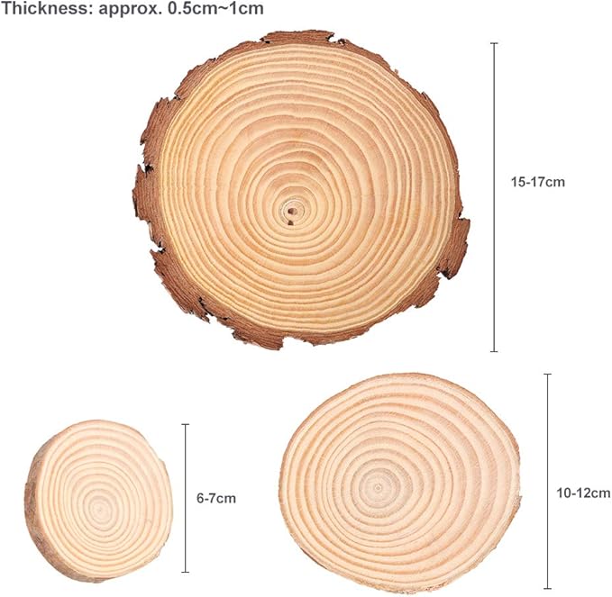 15pcs Tranche De Bois Naturel Rondes Rondins En Bois Rondelle De Bois 10cm 12cm Disques En Bois Avec Ecorce Darbre Non Traitee Pour Artisanat Bricolage Cadeau Decoration