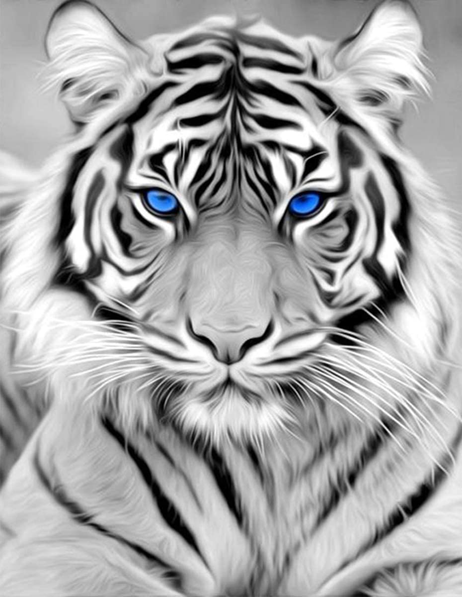 NAIMOER 5D Diamond Painting Kits for Adults, White Tiger Diamond Painting Full Drill 5D Diamond Art Kits Adults Tiger Diamond Painting Rhinestone Pictures for Wall Home Decor 30x40cm