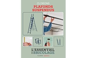 Portes, cloisons & isolation : cloisons - plafonds suspendus: L'essentiel du bricolage (French Edition)