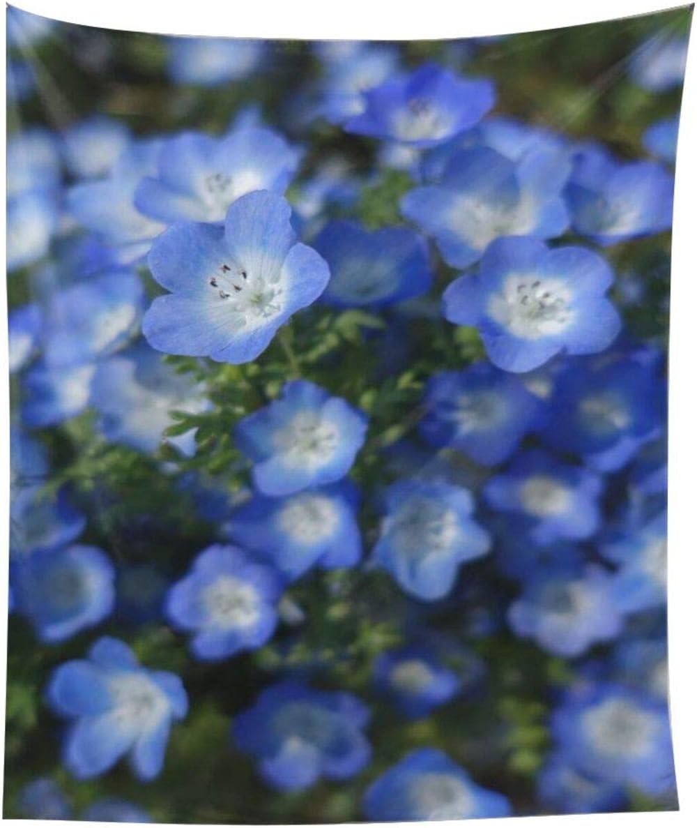 Amazon Co Jp タペストリー ネモフィラ 布ポスター 壁掛け 152cm 130cm 装飾布 装飾用品 新築飾り ポスター キャンバス絵画 お洒落 壁掛けキャンバス 壁掛け装飾 フレーム インテリア 背景絵画 壁アート ホーム キッチン