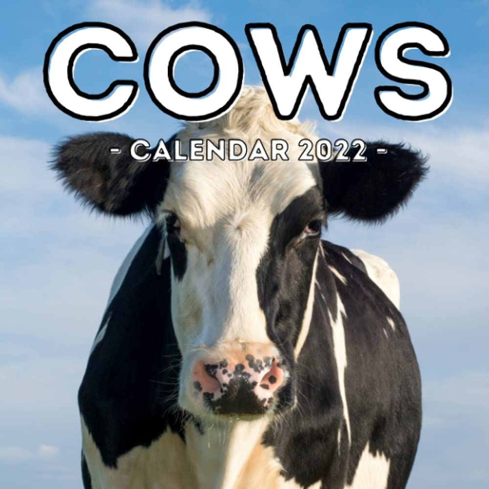 Cow Calendar September 2022 Cows Calendar 2022: 16-Month Calendar, Cute Gift Idea For Cow Lovers Women  & Men: Press, Cooperative Potato: 9798541256185: Amazon.com: Books