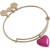 Alex and Ani Navy Enamel Heart Charm Bangle