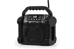 Bingxue Portable Radio FM,USB Bluetooth Speaker with Clock Alarm/LED Lights, Anticollision for Constrution Site/Outdoor/Fishing/Yoga/Party/Camping(Color Option)(Black)