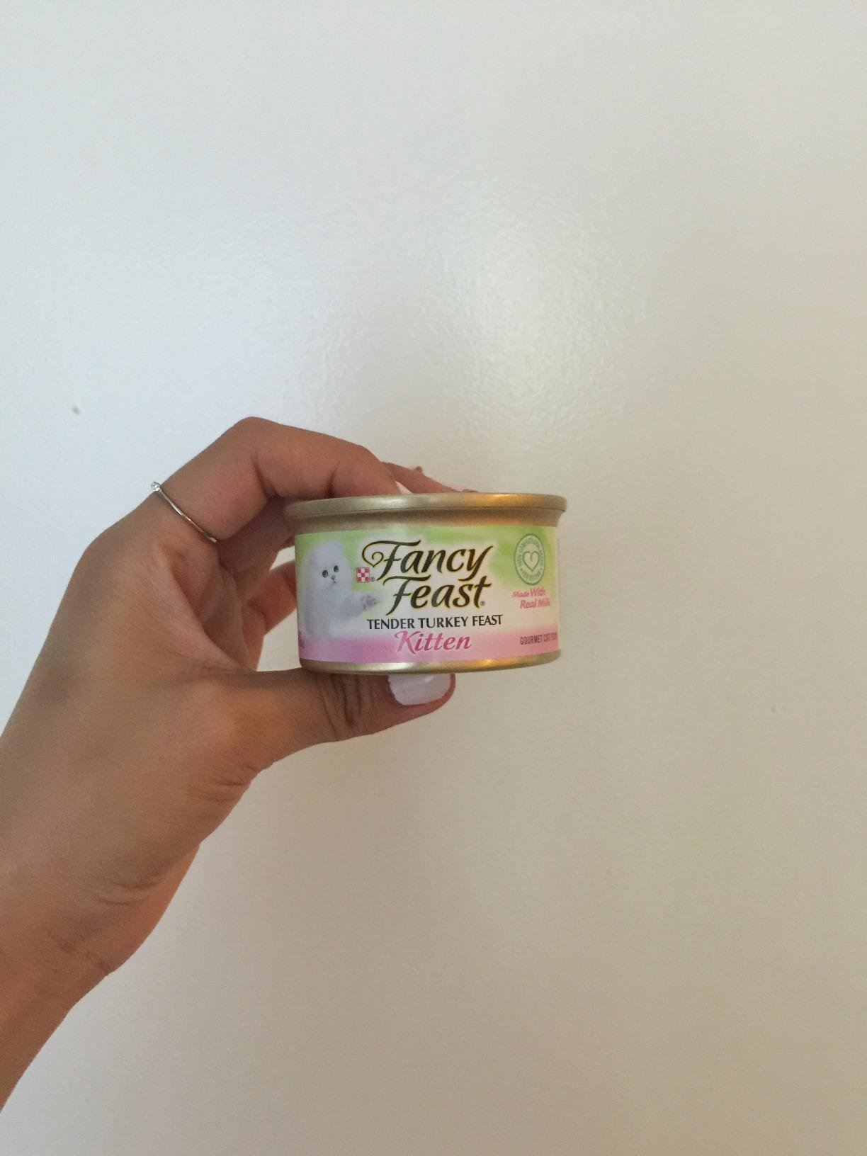 6/mo Finance Purina Fancy Feast Kitten Canned Wet Cat Food Buy Now