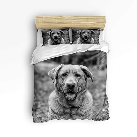 Amazon Com Ezon Ch 3 Piece Duvet Cover Set Twill Plush Soft