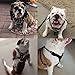Didog Studded Spiked Leather Dog Harness for Medium and Large Dogs,Fit Pit Bulldog Terrier Mastiff Puppy Boxer(Pink)