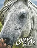 Image de Le Cheval 2018 Calendrier (Edition France) (French Edition)