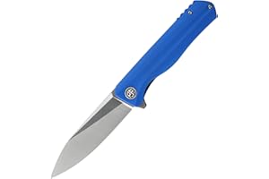 Petrified fish G10 handle D2 steel blade 2CR13 liner ball bearing flipper folding knife camping hunting EDC pocket tool PF818 (Blue, Satin)