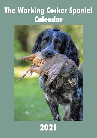 working cockers as pets