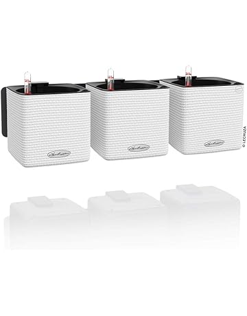 Amazon.es: Semilleros - Invernaderos y equipos de germinación: Jardín