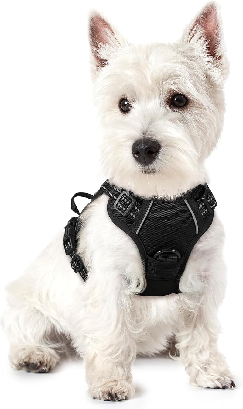 rabbitgoo Dog Harness Small No Pull Front Back Clip Adjustable Reflective XS