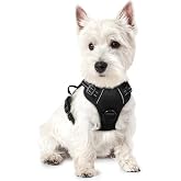 rabbitgoo Dog Harness, No Pull for Small Dogs with 2 Leash Clips, Pet Vest | No Choke with Handle, Adjustable Soft Padded, Reflective, Easy Control for Walking, Black, X-Small