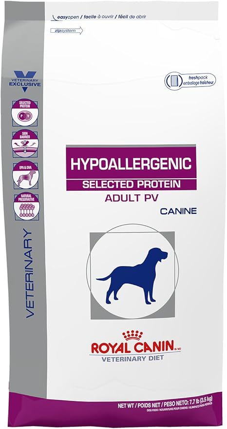 all types of pet lizards