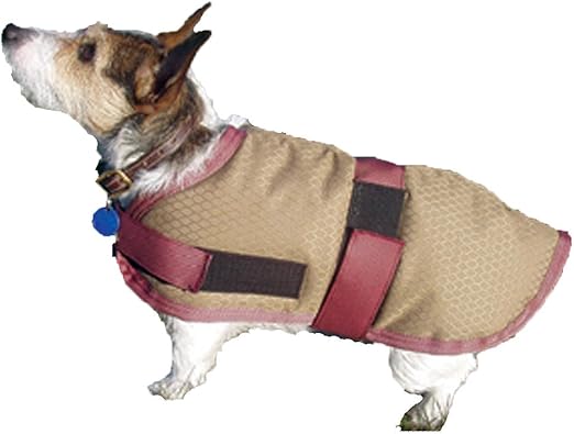 waterproof insulated dog coat