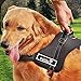 PYRUS Dog Harness, K8 No Pull Harness Dog Leash Padded Pet Walking Harness Heavy Duty for Dogs (XL)