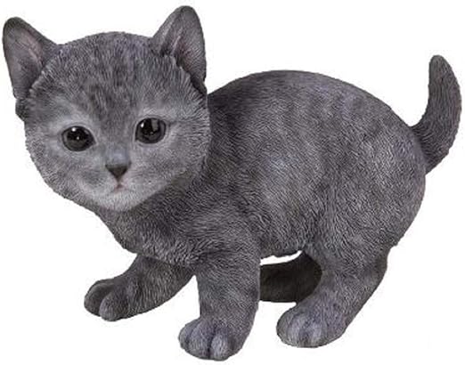 Amazon Com Hi Line Gift Ltd Cat Russian Blue Kitten Home