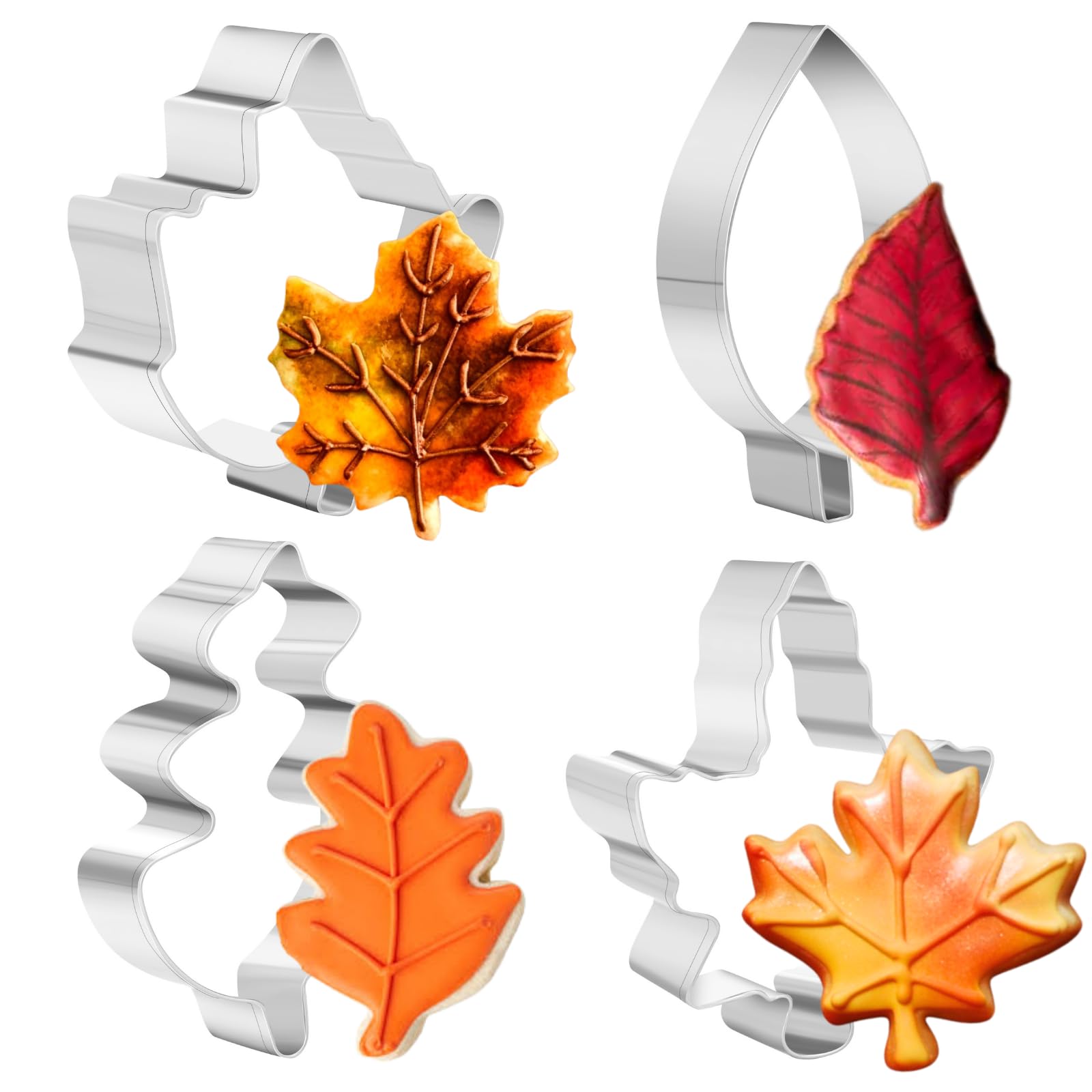 PTaizjjz Fall Cookie Cutter Set, 4 Piece - Maple Leaf, Oak Leaf, Cookie Cutters Shapes for Fall, Autumn, Thanksgiving, Christmas Party Decorations