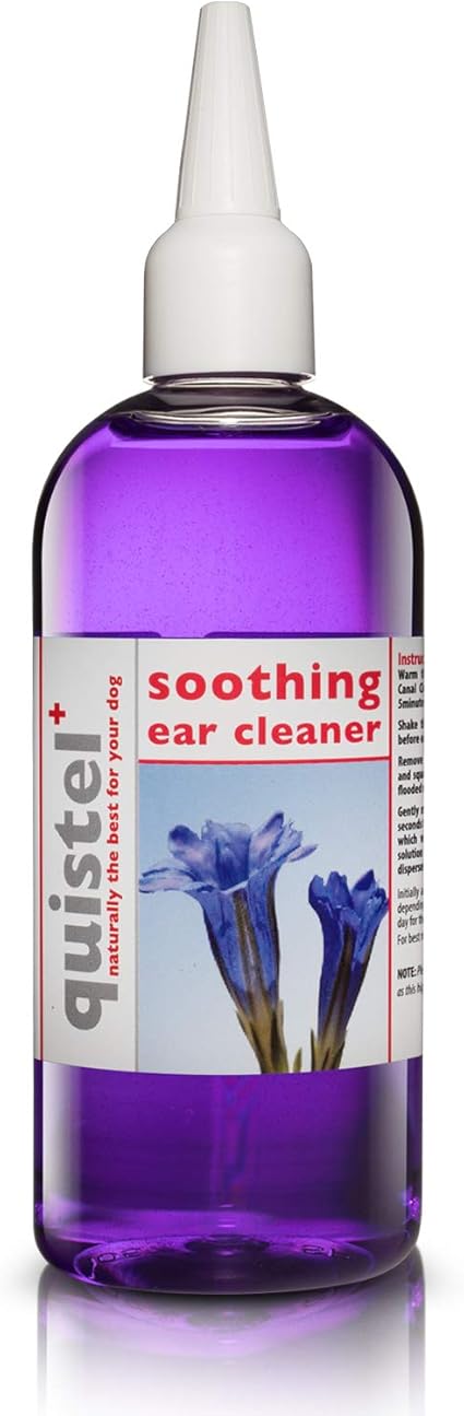 quistel ear drops