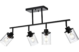 MILUCES 4 Lights Ceiling Light Fixtures with Flexibly Rotatable Light Head Black Bathroom Lights Modern Complete Track Lighting Kits with Clear Glass Shade, E26 Base