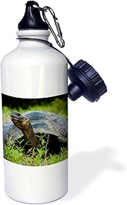 3dRose Ecuador, Santa Cruz Island Galapagos Giant Tortoise Sports Water Bottle, 21Oz, Multicolored