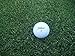 Princess 77 Bermuda Grass Seed - 1 Lb.