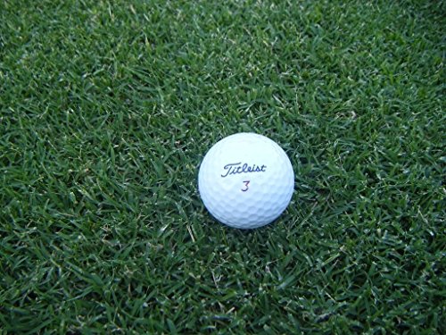 Princess 77 Bermuda Grass Seed - 1 Lb. Princess 77 Bermuda Grass Seed - 1 Lb.