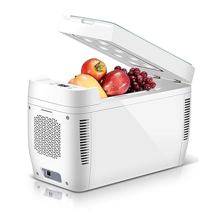 Amazon.es: FINLR Refrigerador Del Coche Mini Refrigerador Camping ...