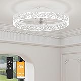 VOLISUN Modern Ceiling Fans with Lights and