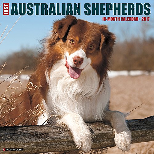 Australian Shepherd Gifts and Collectibles Kritters in the Mailbox