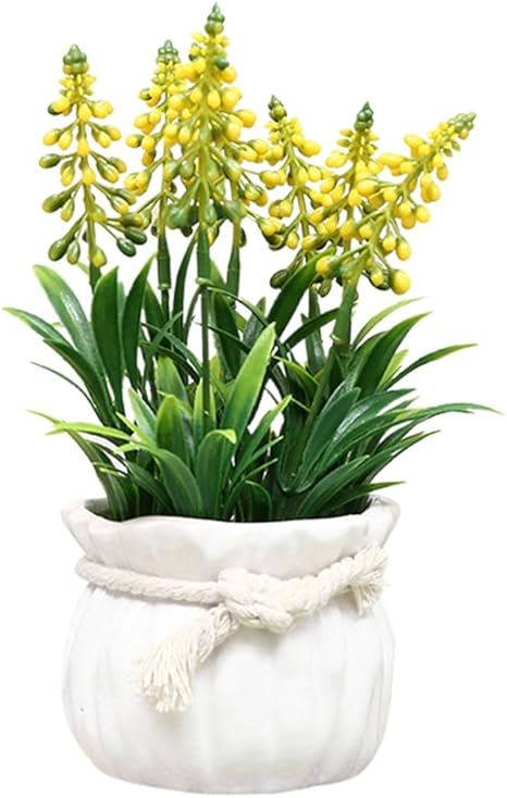 Amazon Lianggui 人工観葉植物 枯れない プラスチック植物 鉢植え ホーム オフィス リビングルーム 装飾品 北欧スタイル シミュレーション 多肉植物 クリエイティブ デコレーション ノルディック イエロー 人工観葉植物 オンライン通販