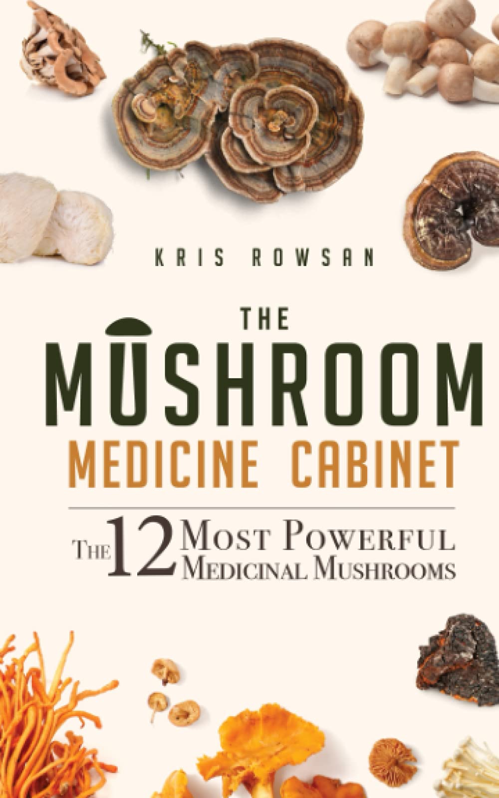 The Mushroom Medicine Cabinet: The 12 Most Powerful Medicinal Mushrooms