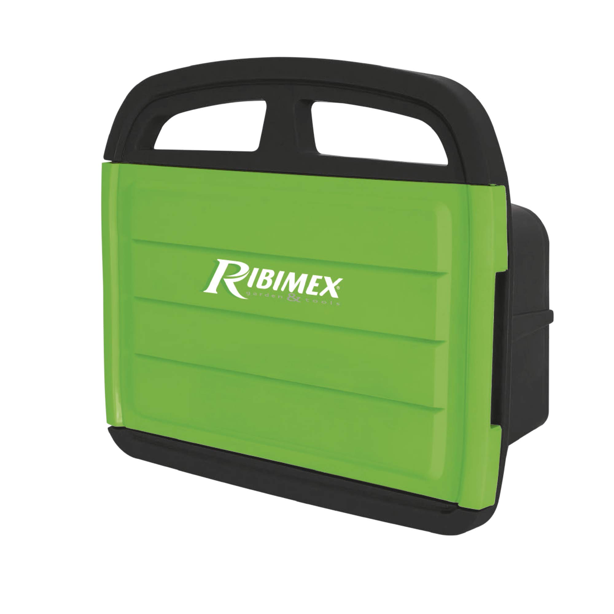 RIBIMEX on Style 1 in Plastic with Accessories Door Black/Green
