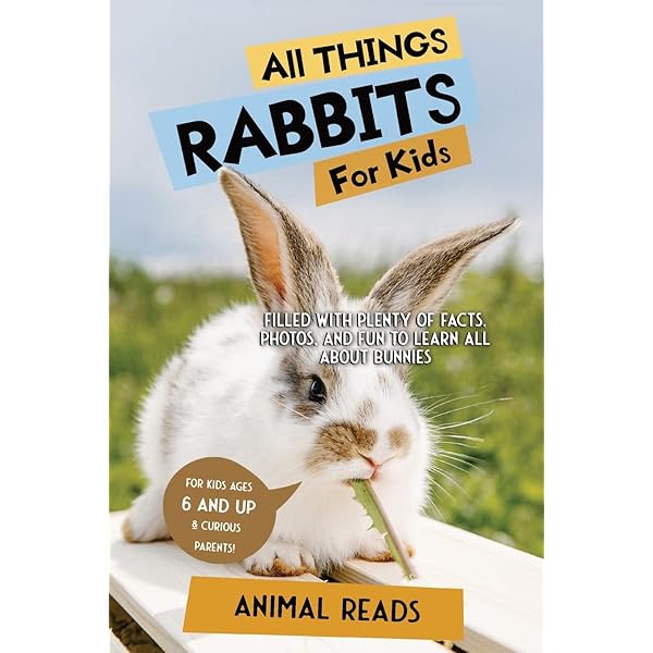 Hop, Bunny! (National Geographic Kids Readers, Pre-Reader