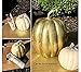 Factory Direct Craft Collection of 7 Assorted Harvest Off White Artificial Pumpkins for Halloween, Fall and Thanksgiving Decorating