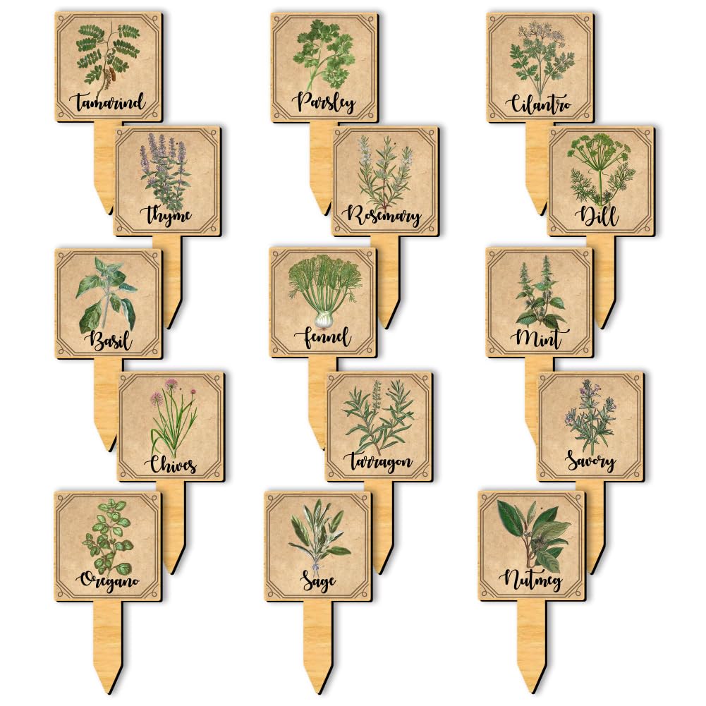 arricraft 15 Pcs Vintage Wood Plant Labels, 15 Styles Wooden Herb Garden Signs T-Type Plant Tags with Printed Herb Name for Indoor Outdoor Potted Seed Herbs Patio Supplies 12x6.35cm