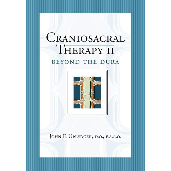 Craniosacral Therapy 1st (first) by Upledger, John E., Vredevoogd