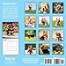 2020 Yorkshire Terriers Calendar 16 Month 12 x 12 Wall Calendar by Bright Day Calendars (Terriers Collection) (Yorkshire Terriers 2019)