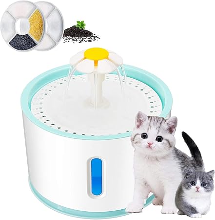 cat dog water fountain
