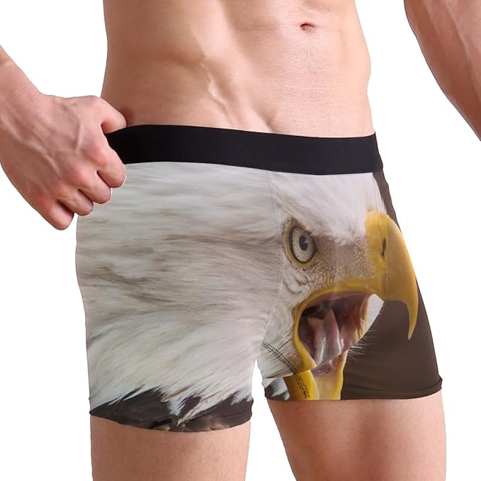 Animal Adler Grappige Boxer Briefs Voor Mannen Jongens Jeugd Zacht Comfort Ondergoed Amazon Nl