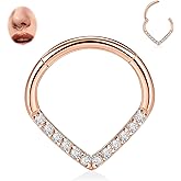 FUNLMO 16G Septum Ring Teardrop Septum Jewelry Daith Helix Tragus Rook Piercing Jewelry CZ Nose Rings Hoops Cartilage Earring 316L Surgical Steel