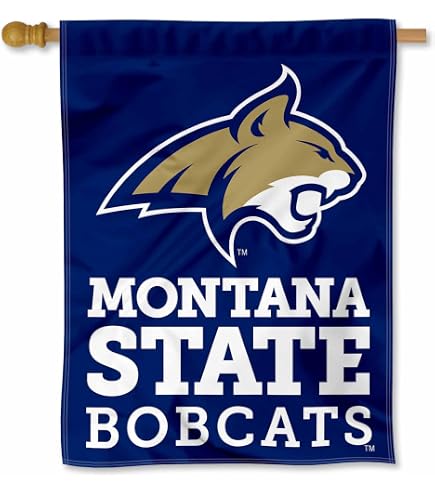 Desert Cactus Michigan State Spartans Flag - 3x5 Feet, Officially Licensed, Durable Polyester For Indoor/Outdoor
