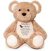 WoollyPearl Soft Teddy Bear Plush Toy, A Big Hug Get Well Soon Comfort Bear with Sympathy Message, Emotional Support Gift for Women, Kids, Girls, Toddlers, Thinking of You Memorial Loved Present 15"