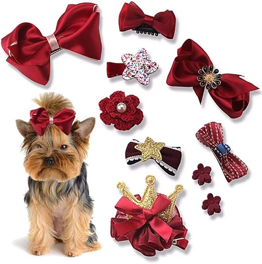 accesorios para perros amazon