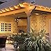 Feit 1179202 String Outdoor Lights
