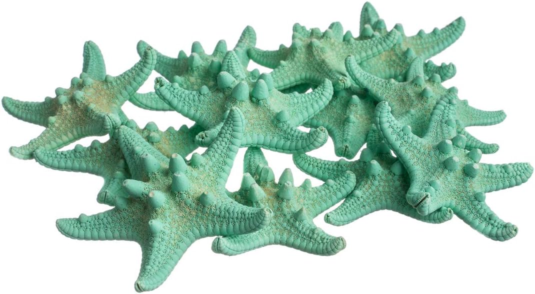 Knobby Starfish | 10 Knobby Starfish Dyed Green 2" to 3" | Plus Free Nautical eBook by Joseph Rains
